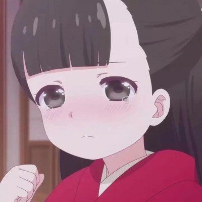 美第一夫人祸从口出